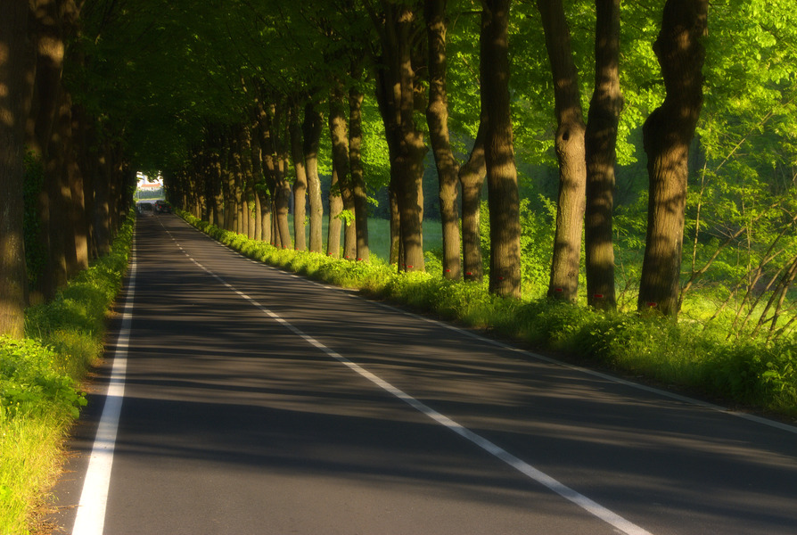 Country Road